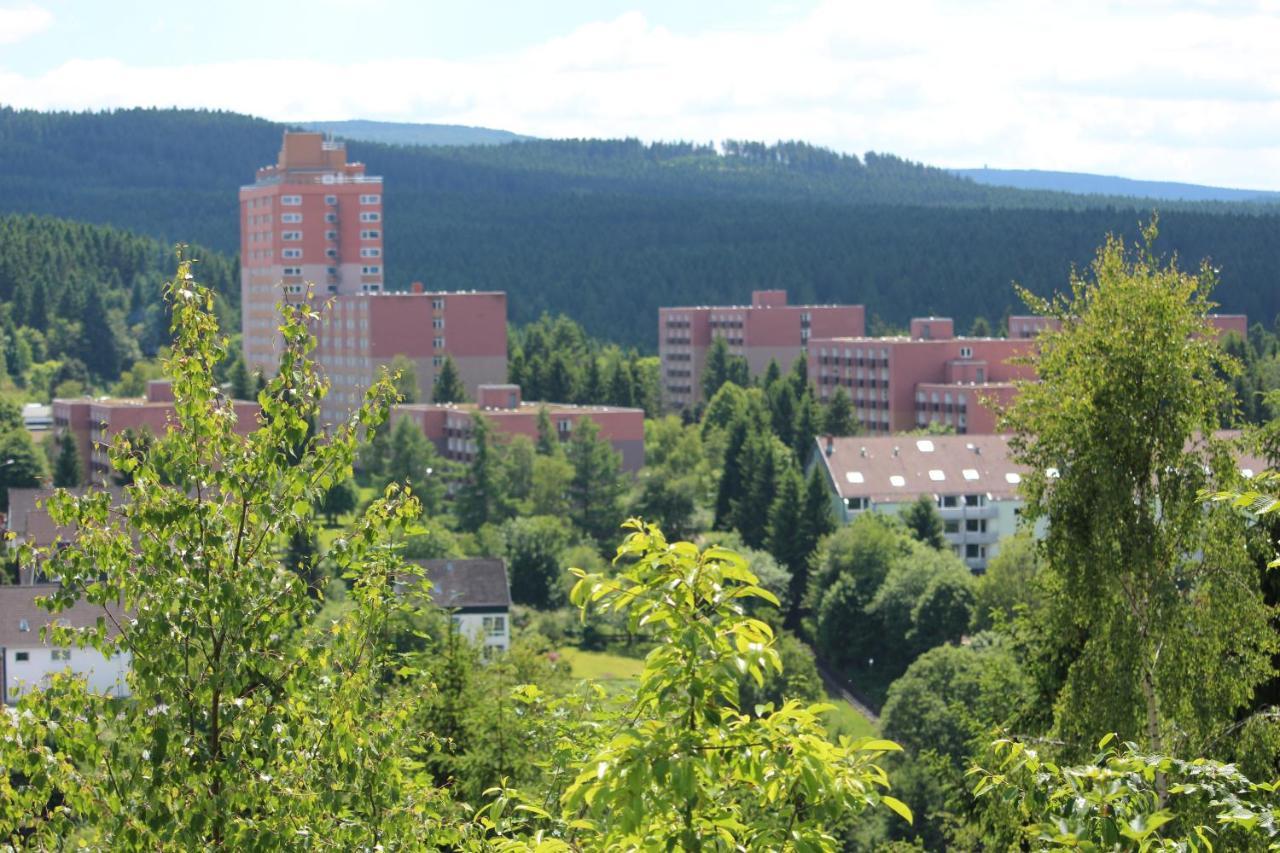 Ferienwohnung Sonnenblick Altenau  Εξωτερικό φωτογραφία